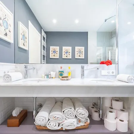 Lujoso Atico Palau De La Musica * Valencia